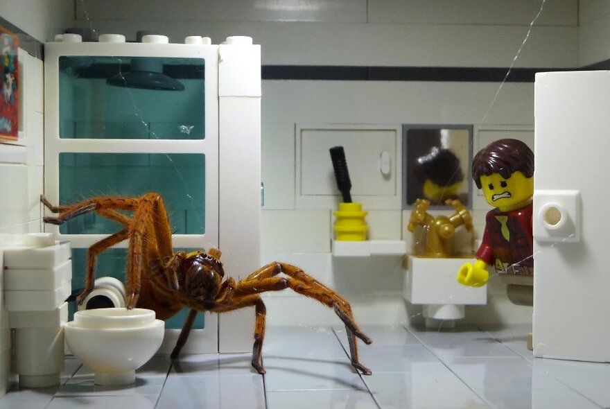 A Lego diarama of a bathroom, with a large tarantular climbing over the toilet.