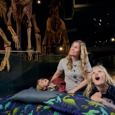 Melbourne Museum Family Sleepover