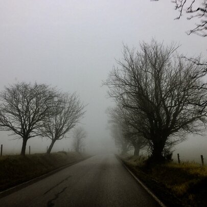 Hugo Race: Convergence