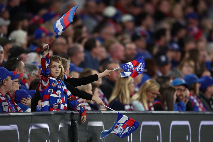 Western Bulldog fans in the stands during a match.