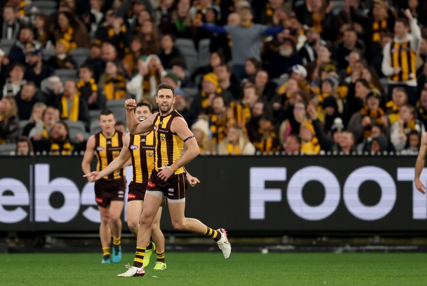 Hawthorn players on a the ground during a match in front of a packed crowd. 