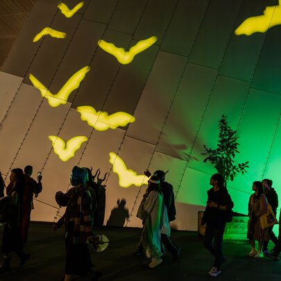 The best Halloween events in Melbourne