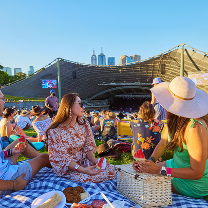 A group of friends picnicking at the Music Bowl.