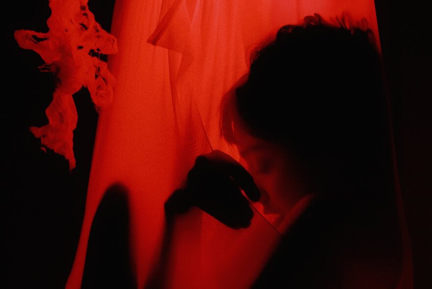 A dark image with a red glow and obscure black shapes. 