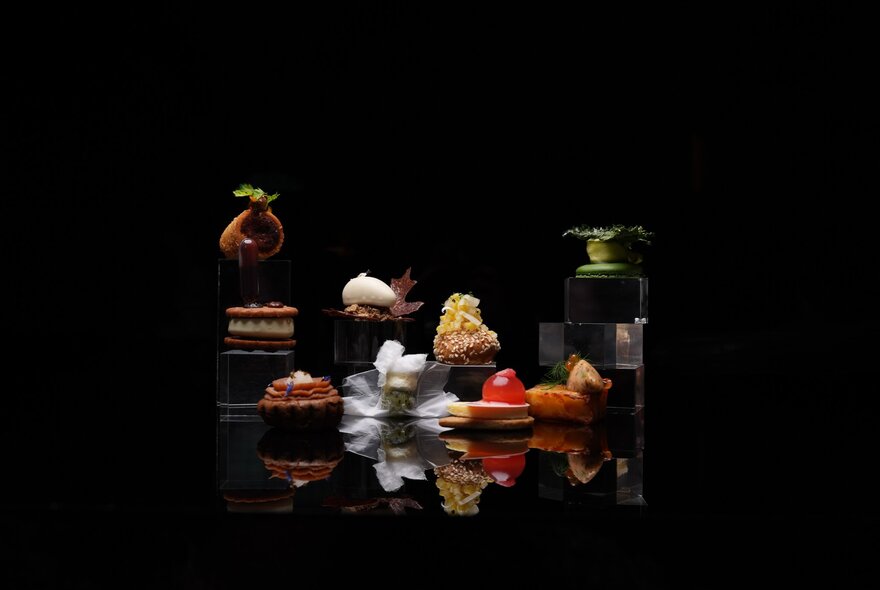Dramatically lit, brightly couloued patisserie against a black background.