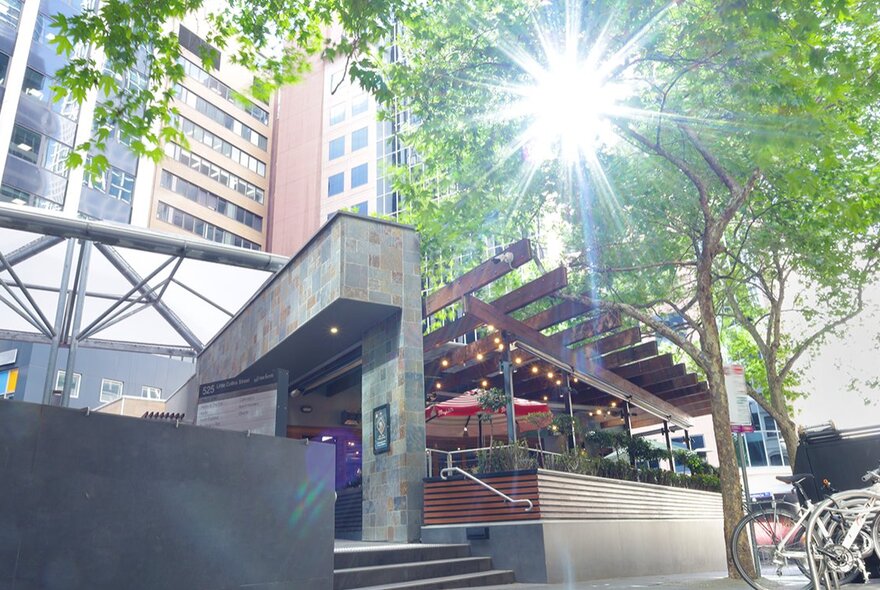 The exterior of Henry and the Fox, a shaft of light making a star shape through a tree outside. 