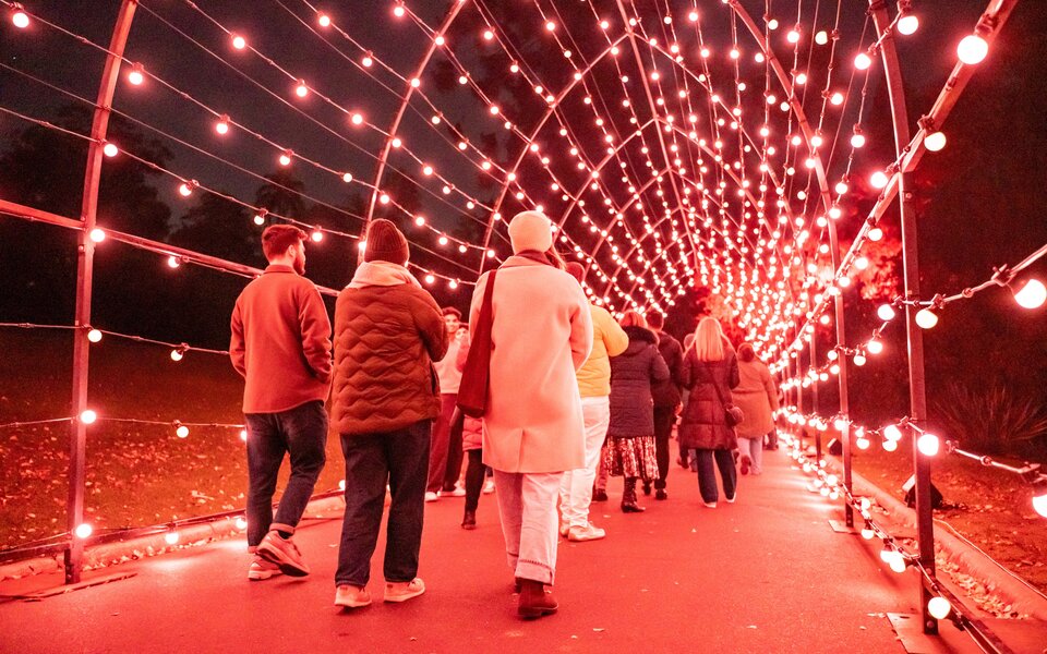 People walking through a light display tunnel at night.