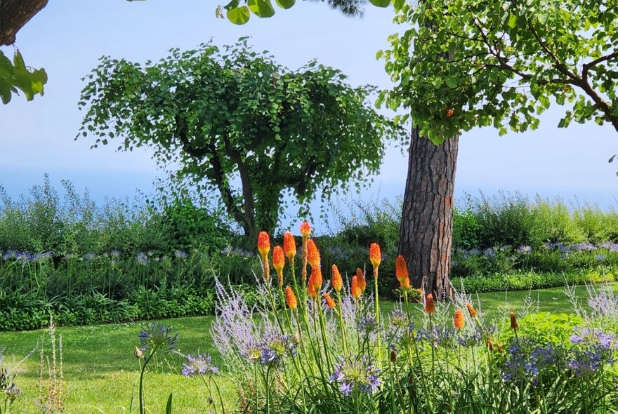 A landscaped garden overlooking the ocean, featuring a cluster of bright orange flowers and light purple blossoms in the foreground.