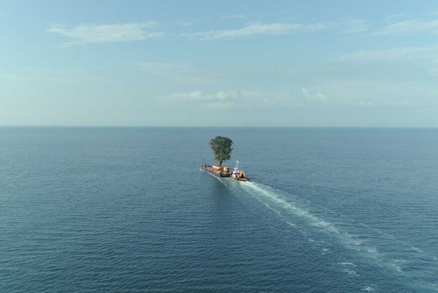 A still from the film Taming the Garden showing a tree being transported on water. 