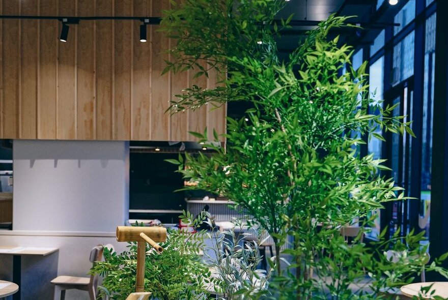 Restaurant interior with clean lines, and gentle light, large bamboo plant to right.