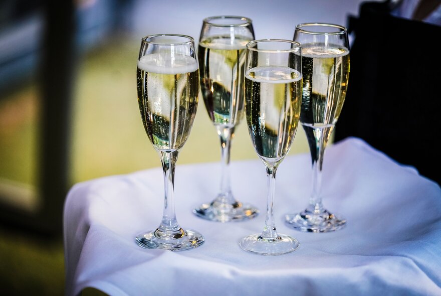 Flutes of champagne on a tray.