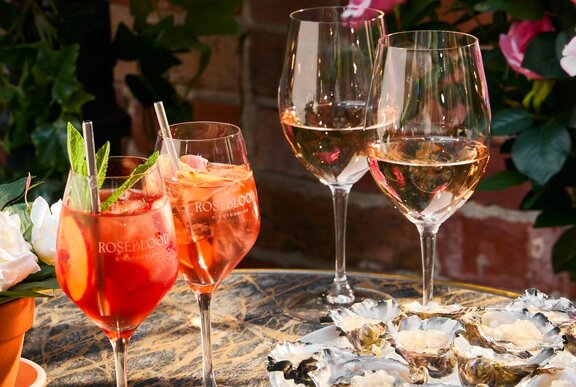 Glasses of rose and spritz with a plate of oysters. 