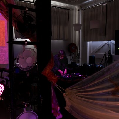 The Lunatic Ball & The Majestic Tic & Pacing (an excerpt)