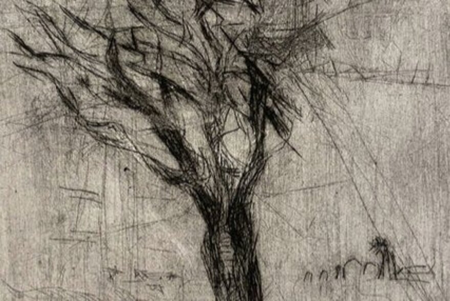 A drypoint etching in monotones depicting a barren tree.