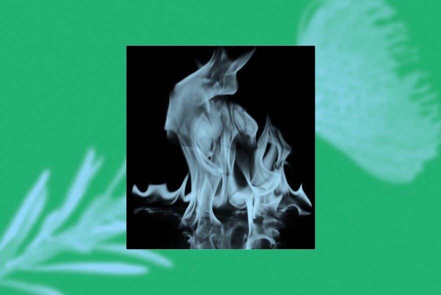 A inlaid black and white image of fire on a green background image of a flower. 