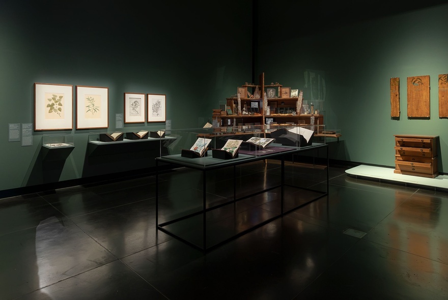 A darkened gallery space with moss green walls and wooden artefacts on display.