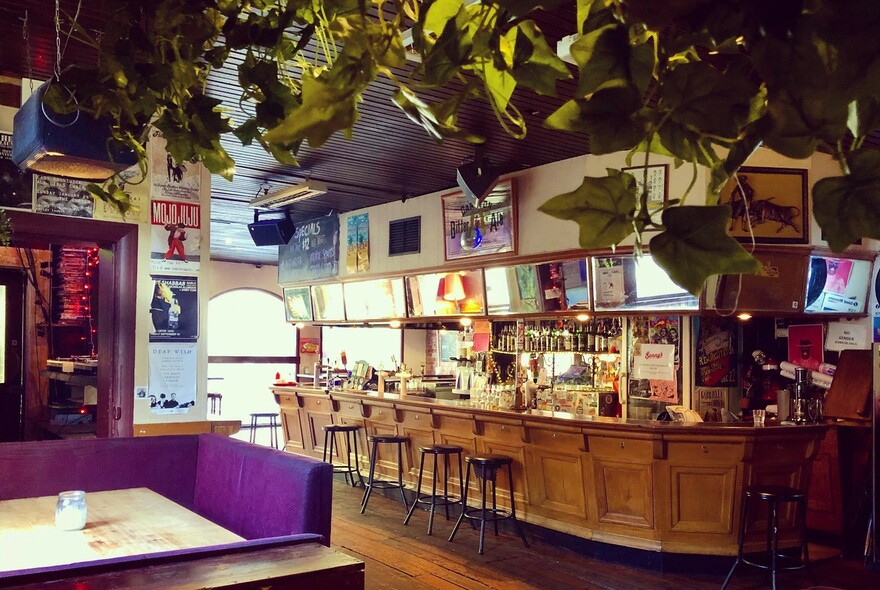 Curved interior bar of The Curtin Hotel, with pictures on wall.