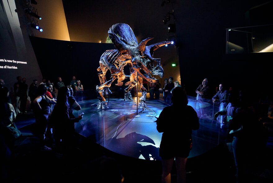 A dimly lit exhibition space with a large, brightly illuminated dinosaur skeleton in the centre, with several people in silhouette sitting or standing around the exhibit on a reflective floor.