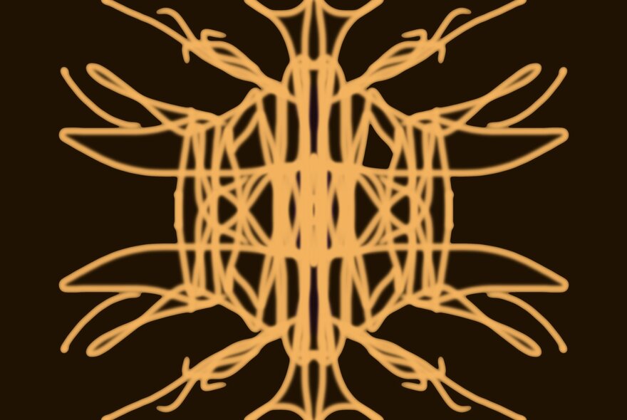 A symmetrical line drawing in orange, on a black background.