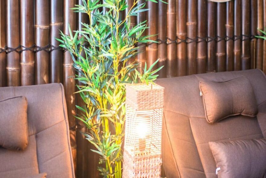 Massage chairs with bamboo tree decorations and soft relaxed lighting.