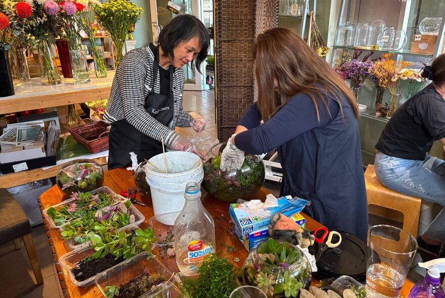Two people creating miniature terrariums with succulents, gravel, bowls and pots in a florist setting.