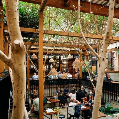 Outdoor bar with trees and fairy lights.