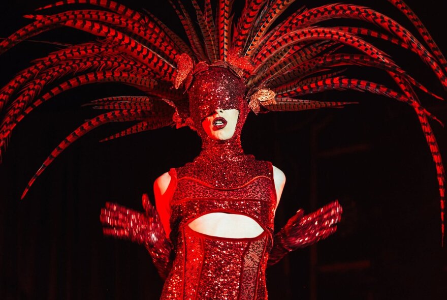 A burlesque performer wearing a red glitter costume with a headdress made of very long red peacock feathers.
