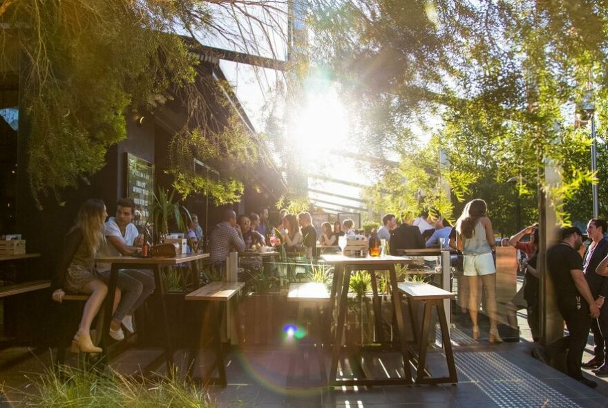 A busy beer garden with lots of greenery and dappled sunlight.