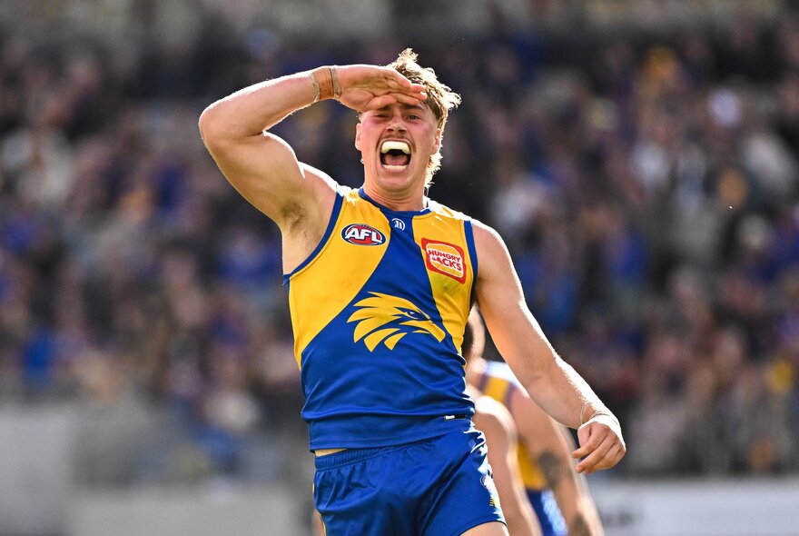 A West Coast Eagles AFL player on the field with his mouth open as if cheering a goal scored, blurred stadium fans behind him.