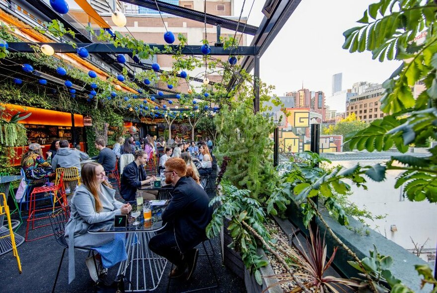 View from the Loop rooftop with patrons at tables and vines and lanterns hanging above.