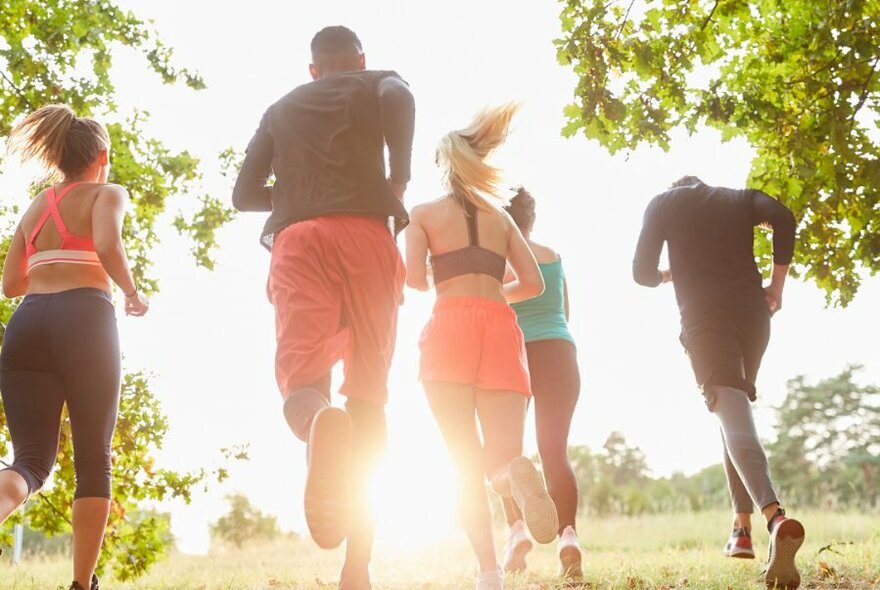 Five runners in green outdoor setting seen from behind, sunlight streaming from ahead of them.