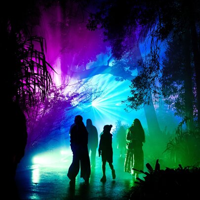 A family are walking through a forest at night which is lit up in neon colourful lights