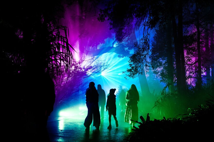 A family are walking through a forest at night which is lit up in neon colourful lights