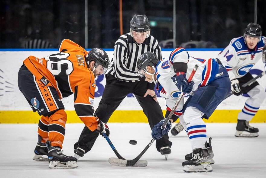 A scene from an ice hockey match with the referee standing between two players. 