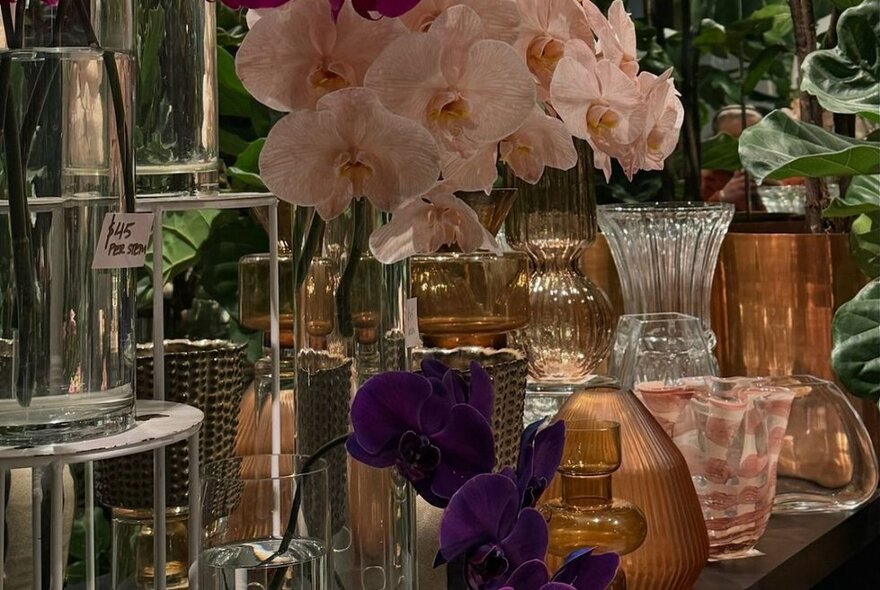 Pink orchids next to a display of glass vases on a floristry counter.