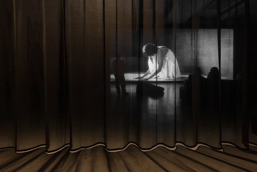 Installation view of an exhibition, seen through sheer black curtains, with an image projected onto a wall, with gallery onlookers in the shadows.