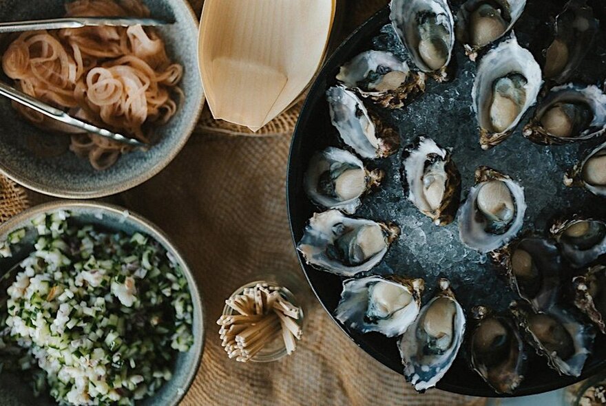 Overhead view of a plate of oysters, with side garnsihes.