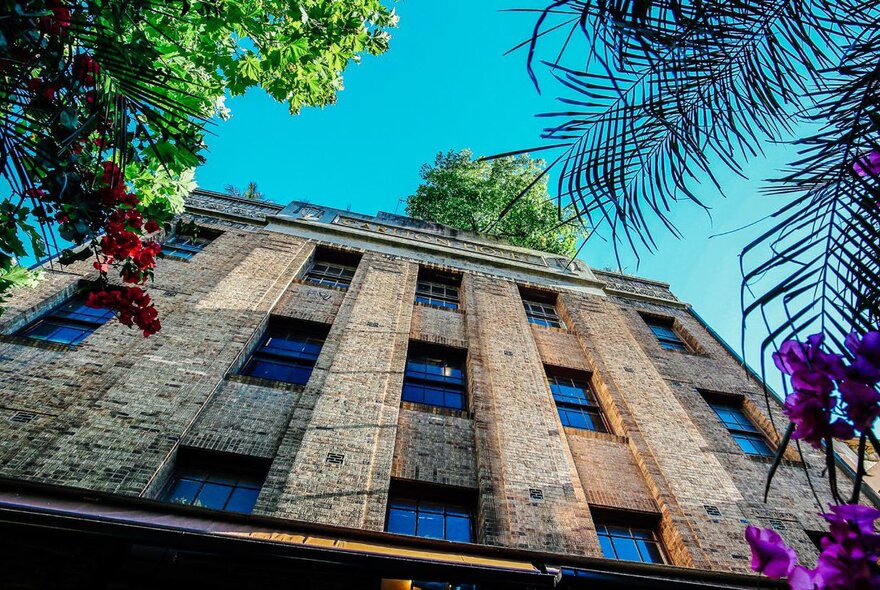 Looking up to the rooftop from ground level, building viewed at a sharp angle framed by blue sky and trees.