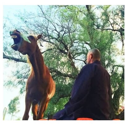 Zen practitioner seated next to a statue of a neighing horse in an outdoor setting with trees.