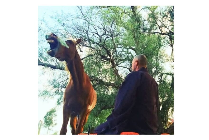 Zen practitioner seated next to a statue of a neighing horse in an outdoor setting with trees.
