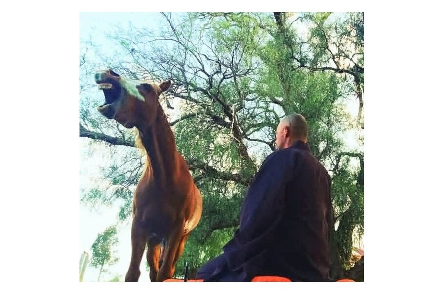 Year of the Fire Horse Meditation