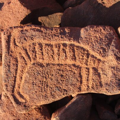 Ancient carving on a reddish coloured rock in the Pilbara region of WA.