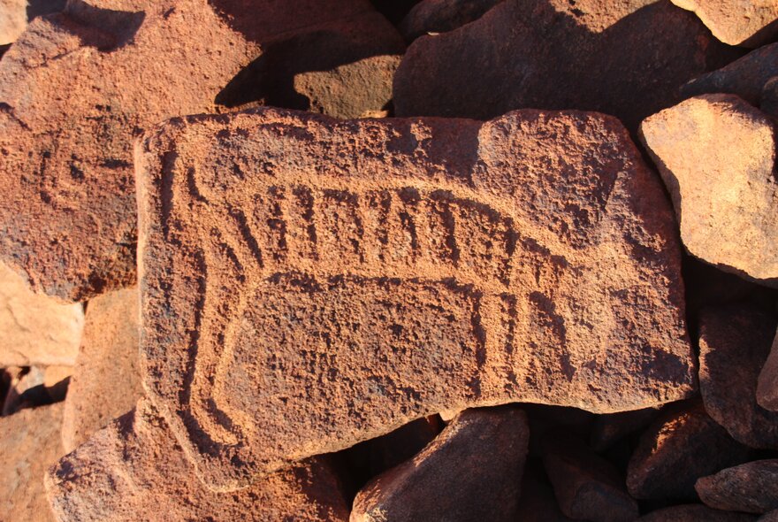 Ancient carving on a reddish coloured rock in the Pilbara region of WA.