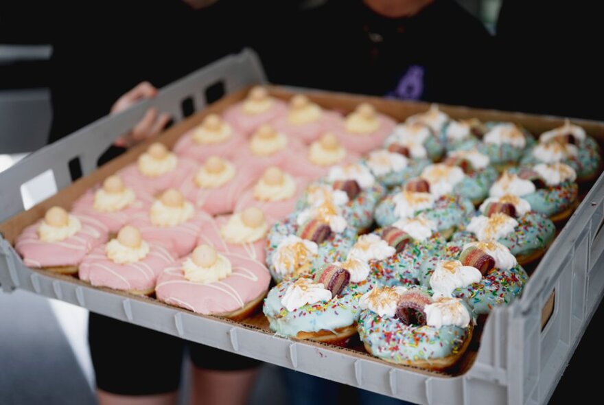 A tray of round donuts with holes, half with pink icing and the other half with blue icing with sprinkles.