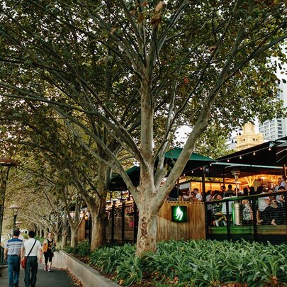 Exterior of Arbory Bar building, showing the wooden outdoor deck, situated on the banks of the Yarra River, surrounded by green leafy trees.