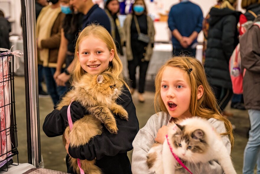 Two little girls holding two large fluffy cats. 