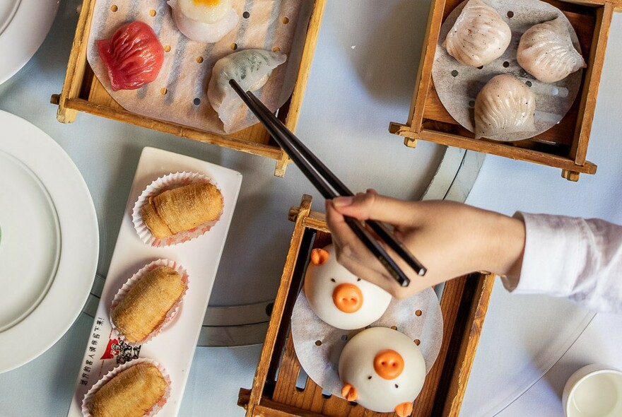 Chopsticks poised over a steamer of dumplings, with several other plates of food on the table.