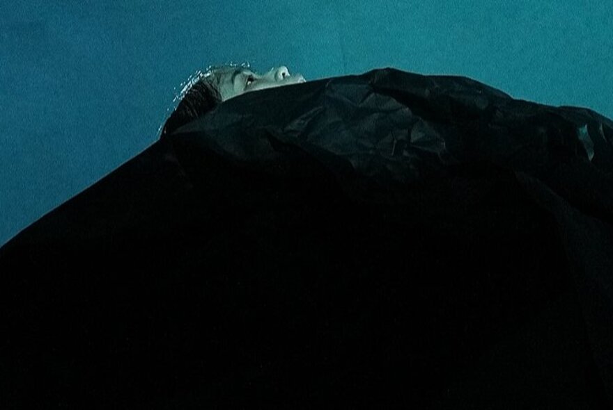 Person's reclining face visible above a large black mass.