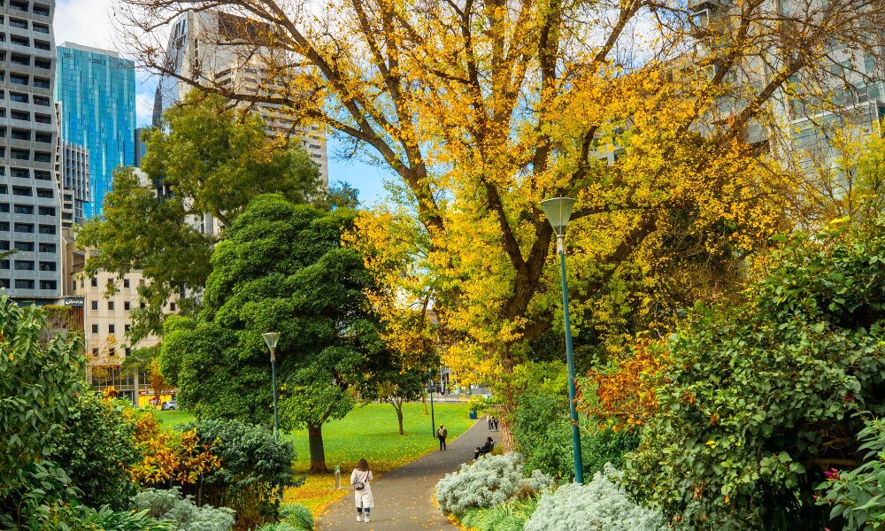 A city park with the leaves changing and buildings behind.