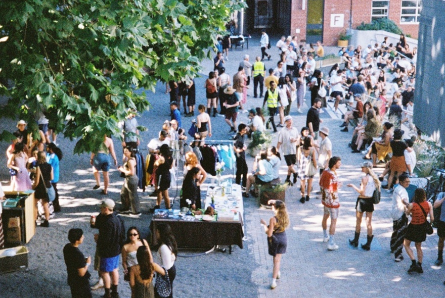 A small crowd of people gathered in a courtyard space under a tree.